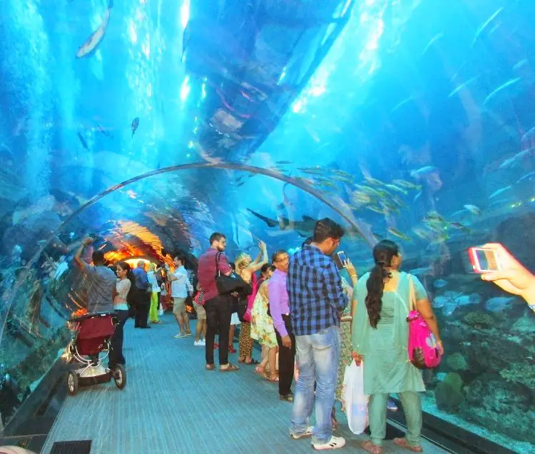Dubai Aquarium and Underwater oo