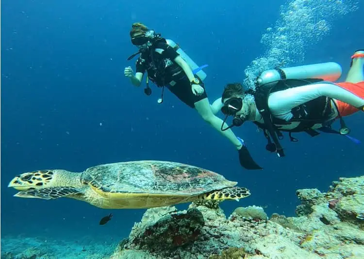 Scuba Diving activities in Maldives